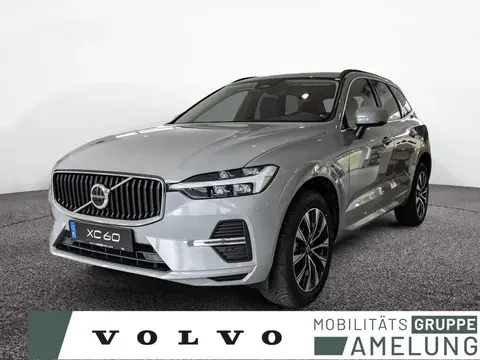 Annonce VOLVO XC60 Diesel 2024 d'occasion 