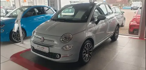 Used FIAT 500 Petrol 2023 Ad 