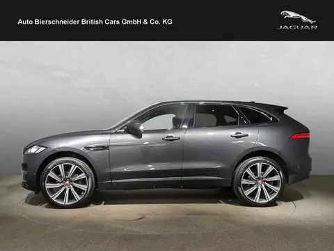 Used JAGUAR F-PACE Diesel 2019 Ad 