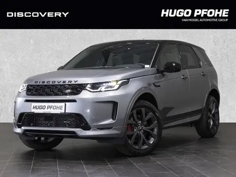 Annonce LAND ROVER DISCOVERY Diesel 2024 d'occasion 