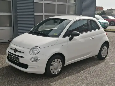 Used FIAT 500 Petrol 2021 Ad 