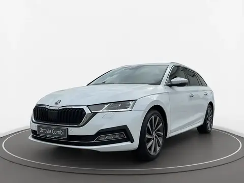 Annonce SKODA OCTAVIA Diesel 2023 d'occasion 