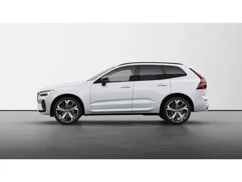 Annonce VOLVO XC60 Essence 2024 d'occasion 