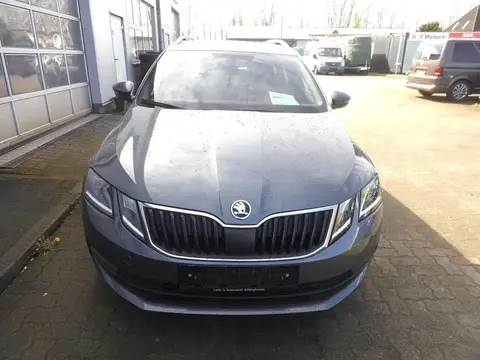 Used SKODA OCTAVIA Diesel 2019 Ad 