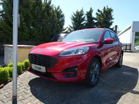 Annonce FORD KUGA Essence 2024 d'occasion 