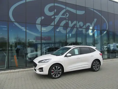 Annonce FORD KUGA Hybride 2021 d'occasion 