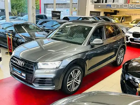 Used AUDI Q5 Diesel 2019 Ad 