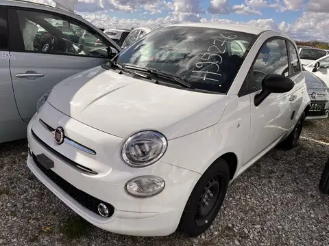 Used FIAT 500 Petrol 2023 Ad 