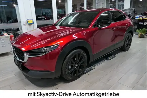 Annonce MAZDA CX-30 Essence 2024 d'occasion 