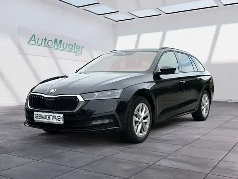 Used SKODA OCTAVIA Petrol 2021 Ad 