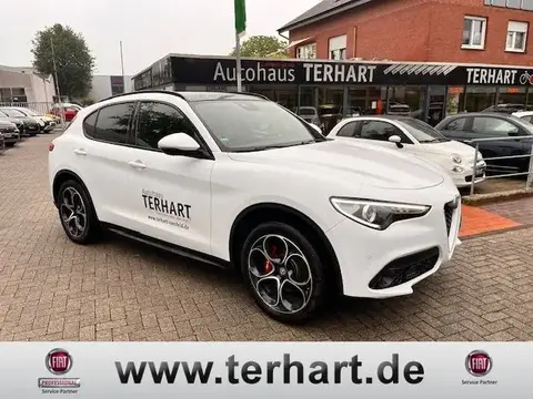 Annonce ALFA ROMEO STELVIO Diesel 2020 d'occasion 