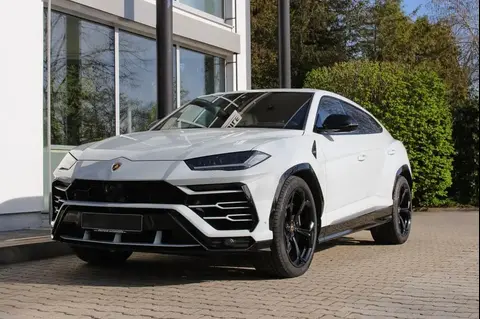 Used LAMBORGHINI URUS Petrol 2019 Ad 