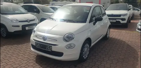 Used FIAT 500 Petrol 2023 Ad 