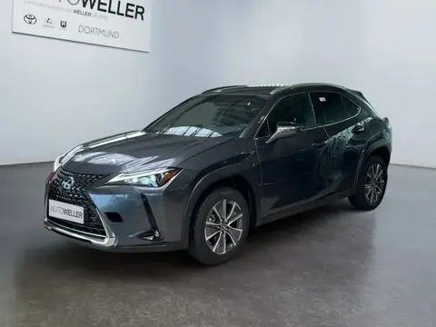 Used LEXUS UX Not specified 2024 Ad 