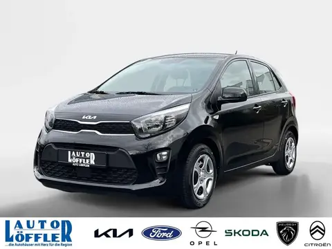 Used KIA PICANTO Petrol 2024 Ad 