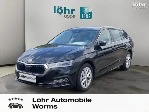 Used SKODA OCTAVIA Diesel 2023 Ad 