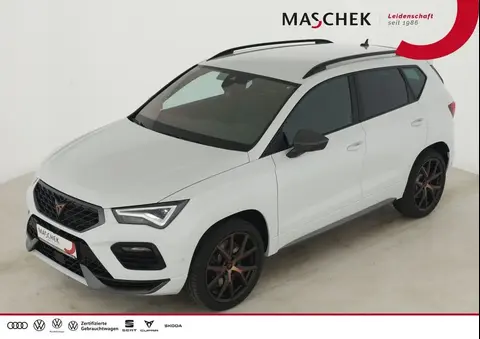 Annonce CUPRA ATECA Essence 2024 d'occasion 