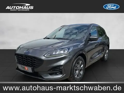 Used FORD KUGA Hybrid 2022 Ad 