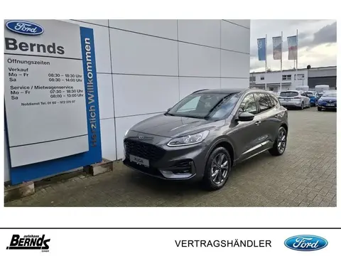 Annonce FORD KUGA Hybride 2022 d'occasion 