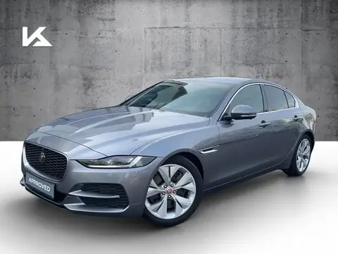 Used JAGUAR XE Petrol 2021 Ad 