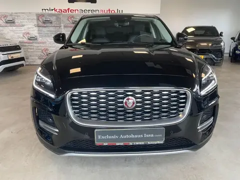 Used JAGUAR E-PACE Hybrid 2021 Ad 