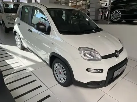 Annonce FIAT PANDA Essence 2024 d'occasion 