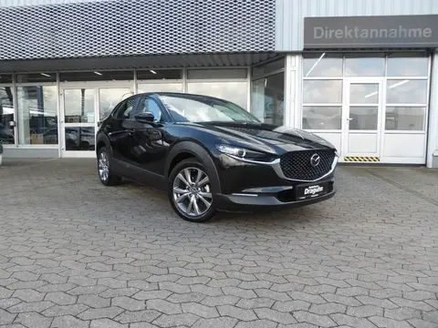 Annonce MAZDA CX-30 Essence 2020 d'occasion 