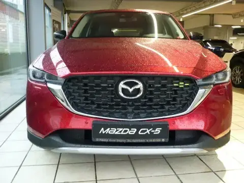 Used MAZDA CX-5 Petrol 2024 Ad 