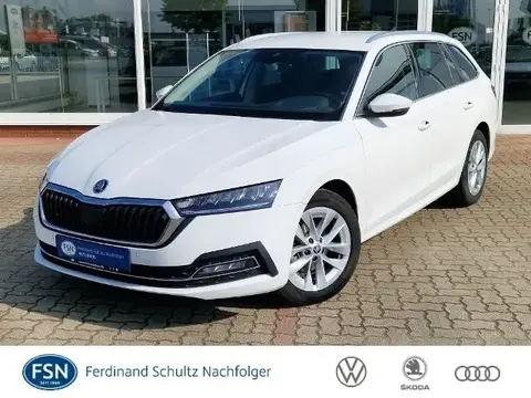 Annonce SKODA OCTAVIA Diesel 2022 d'occasion 