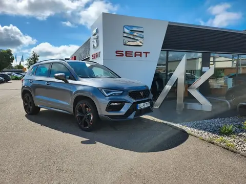 Annonce CUPRA ATECA Essence 2024 d'occasion 