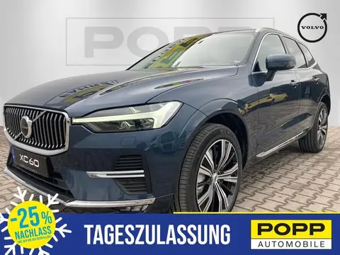 Used VOLVO XC60 Diesel 2023 Ad 