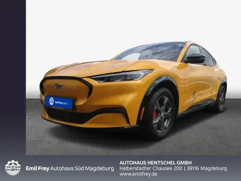 Used FORD MUSTANG Not specified 2023 Ad 