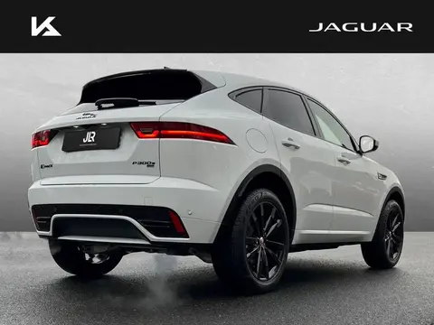 Used JAGUAR E-PACE Hybrid 2023 Ad 