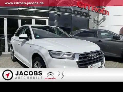 Used AUDI Q5 Diesel 2017 Ad 