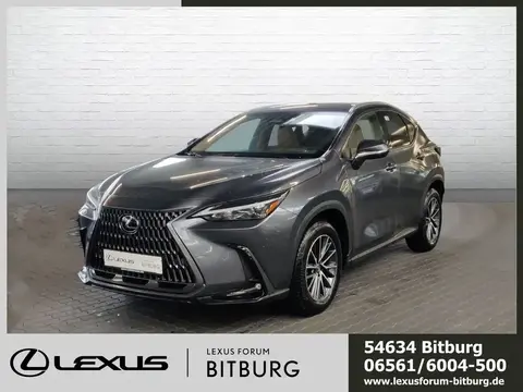 Used LEXUS NX Hybrid 2024 Ad 