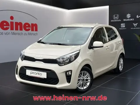 Annonce KIA PICANTO Essence 2024 d'occasion 