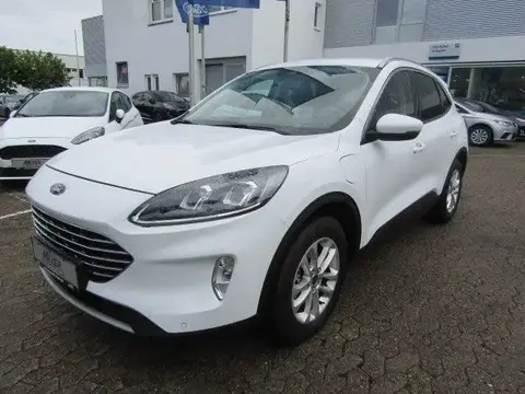 Used FORD KUGA Hybrid 2021 Ad 