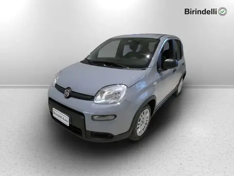 Annonce FIAT PANDA Hybride 2023 d'occasion 