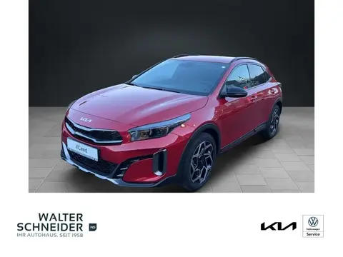 Annonce KIA XCEED Essence 2024 d'occasion 