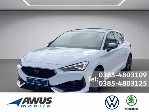 Used CUPRA LEON Petrol 2024 Ad 