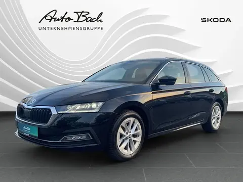 Annonce SKODA OCTAVIA Diesel 2023 d'occasion 