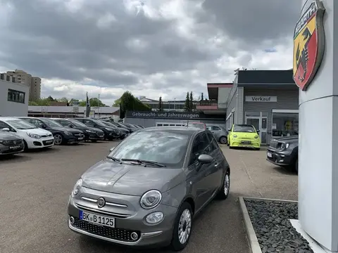 Used FIAT 500 Petrol 2023 Ad 