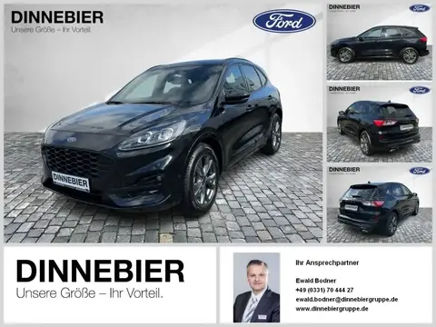 Annonce FORD KUGA Essence 2023 d'occasion 