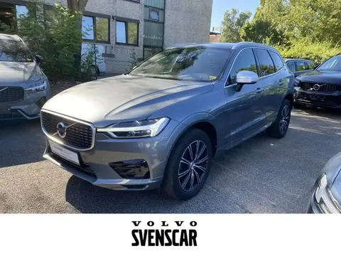 Used VOLVO XC60 Petrol 2019 Ad 