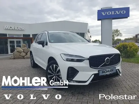 Annonce VOLVO XC60 Diesel 2023 d'occasion 