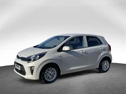 Used KIA PICANTO Petrol 2024 Ad 