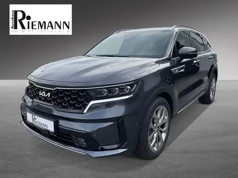 Annonce KIA SORENTO Diesel 2024 d'occasion 