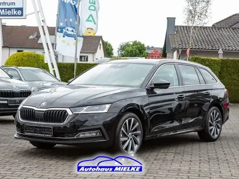 Used SKODA OCTAVIA Petrol 2024 Ad 