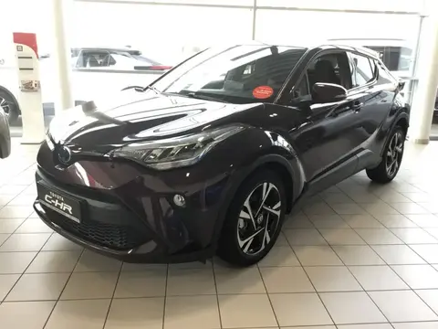 Used TOYOTA C-HR Hybrid 2024 Ad 