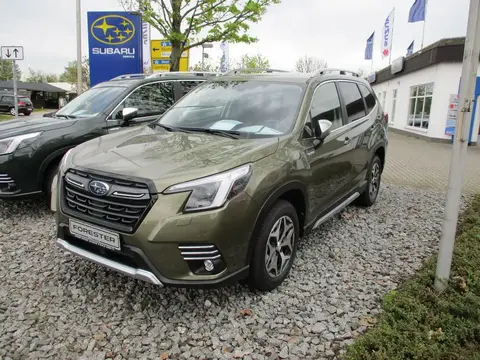 Used SUBARU FORESTER Petrol 2024 Ad 